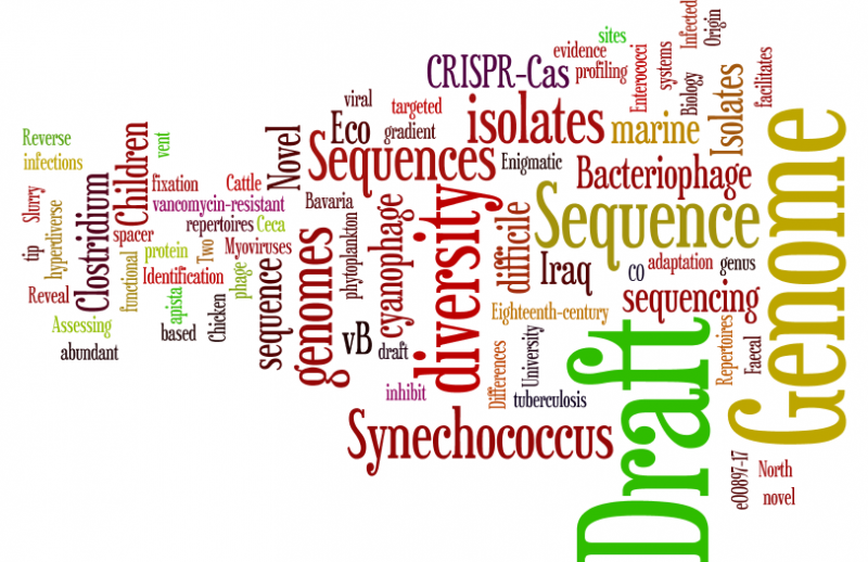 Publication title word cloud from 2015 to 2017