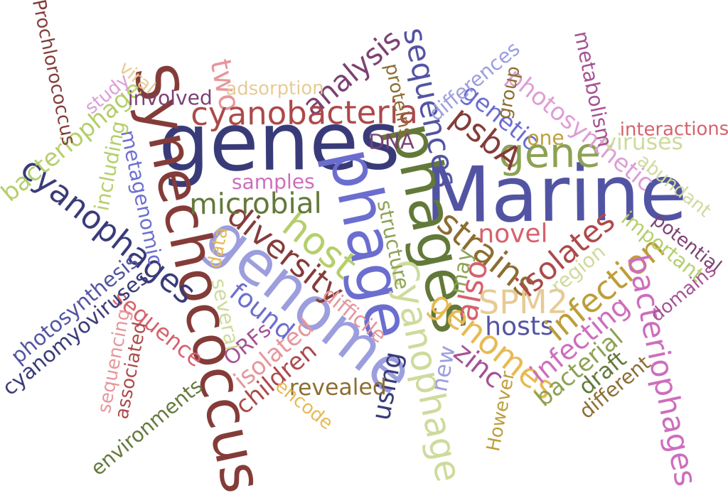 Publication word cloud before 2015